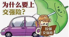 别再忘给你的交强险续保啦！