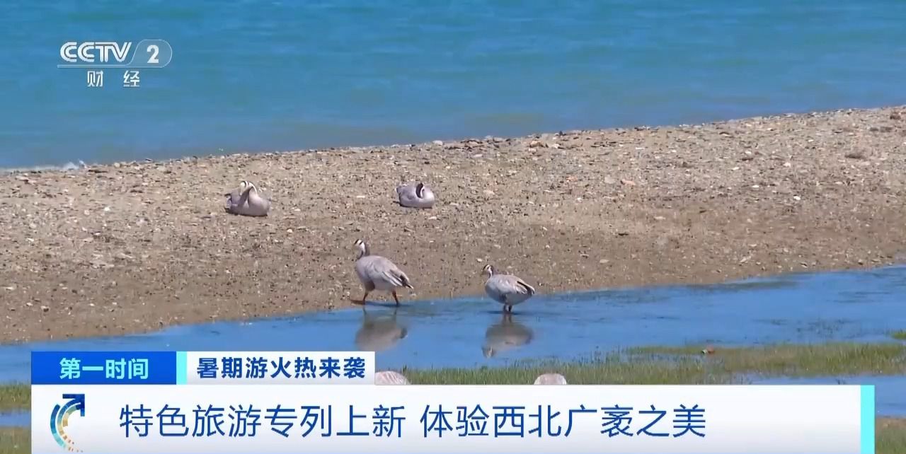 特色旅游专列上新！沙漠、戈壁、盐湖……领略西北风貌→