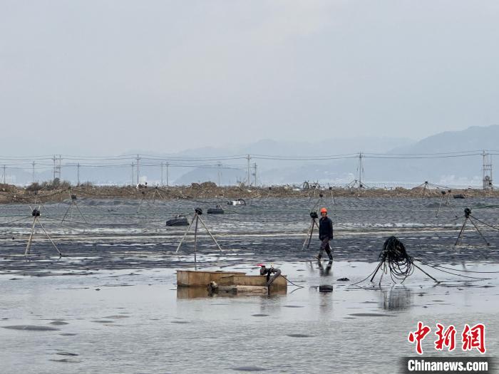 （新春走基层）春节临近 民营经济大市浙江台州项目施工热情不减