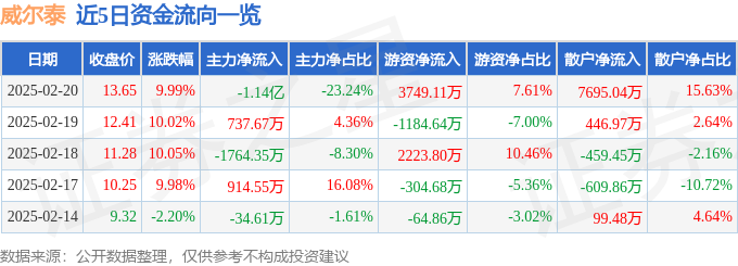 2月20日威尔泰涨停分析：传感器，特斯拉，仪器仪表概念热股